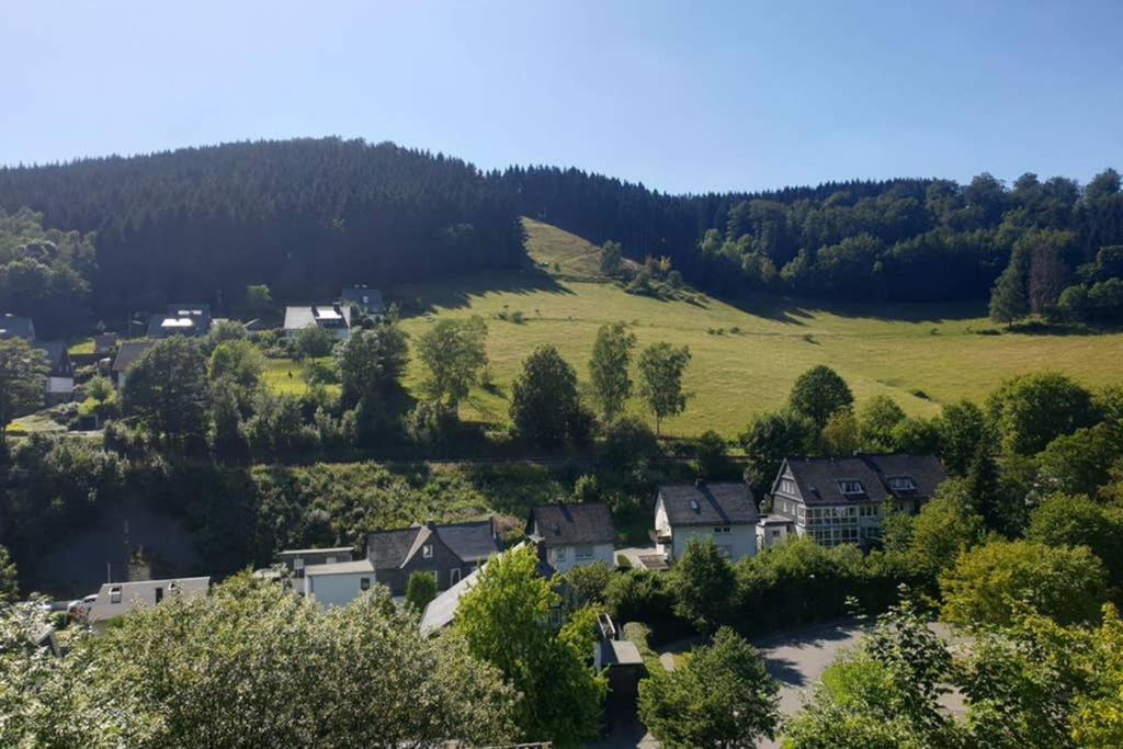 Andinas Fewo - Natur Pur - Wunderschoener Ausblick Winterberg Extérieur photo